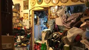 maison de syllogomane