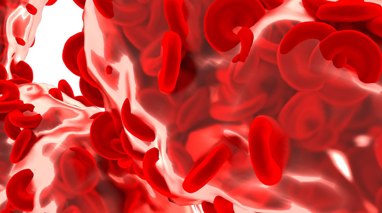 hémoglobine