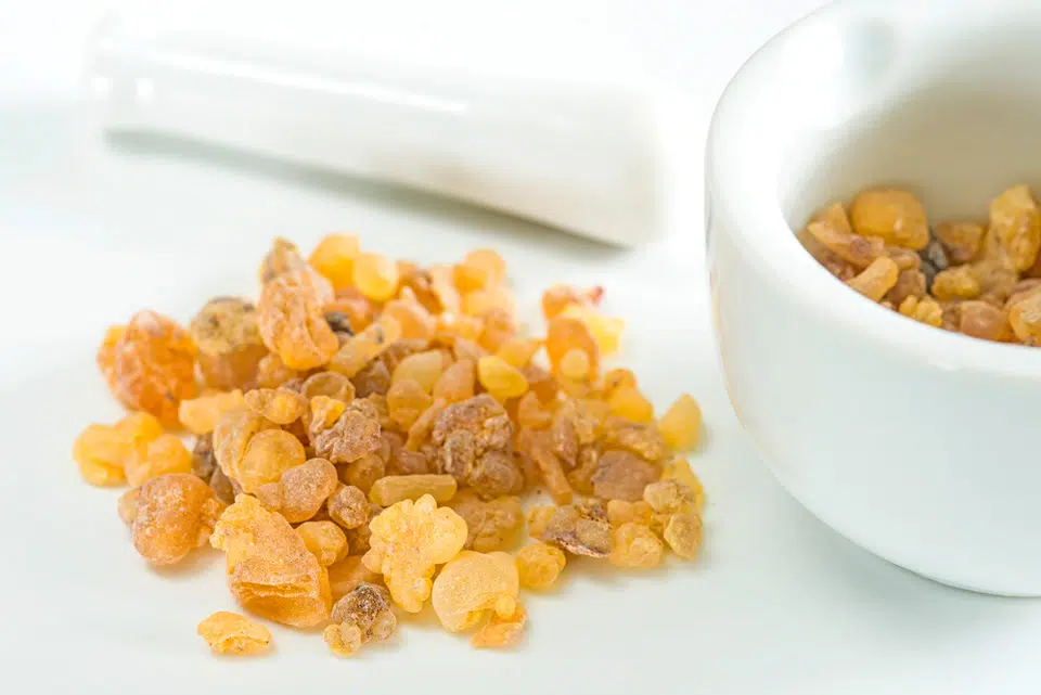 résine de Boswellia