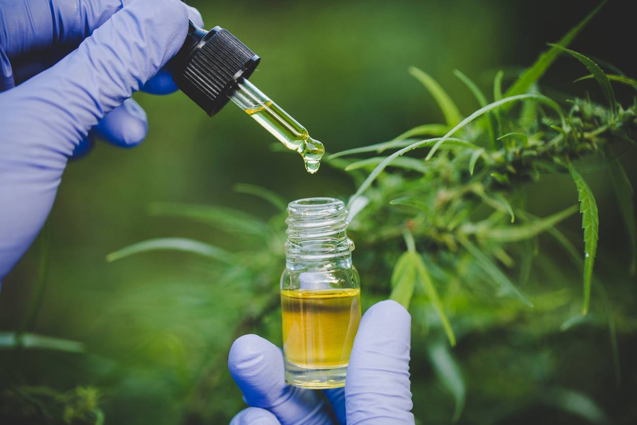 cannabino&iuml;des CBD
