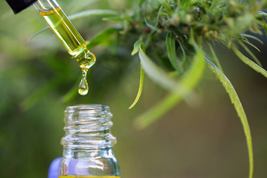 img cbd un aliment pas comme les autres.jpg